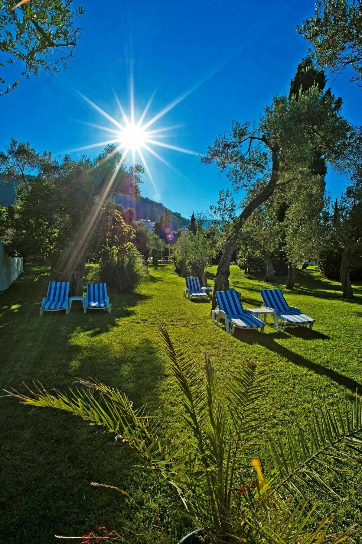 Hotel Rivijera Petrovac Exterior photo